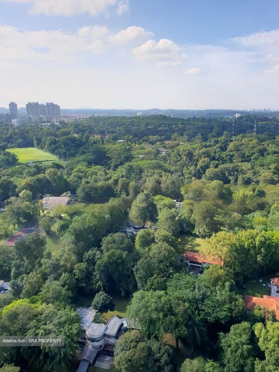 Skyparc Dawson (Queenstown), HDB 3 Rooms For Rent 101532201